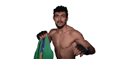 Ufc Mma Sticker by Ricardo Ramos