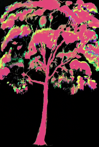 Gum Tree GIF by Barbara Pozzi