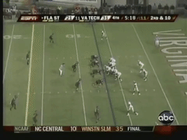 Virginia Tech Football GIF