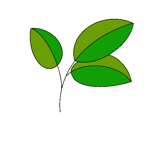 Grun Sticker by Seedamm-Center