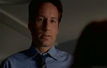 assistant director skinner