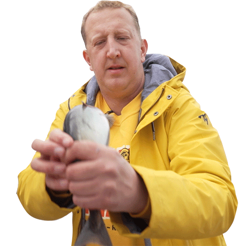 Fisk Magnus Devold Sticker by Concorde TV