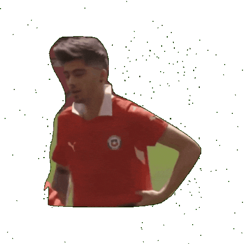 Animated Sticker