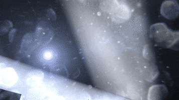 Unlimited Jiu Jitsu GIF