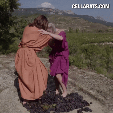 Cellar Rats by Itasca Films GIF