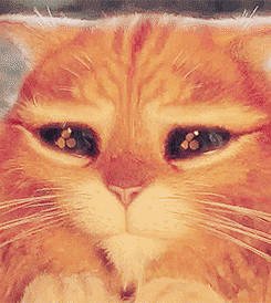 Puss In Boots Puppy Dog Eyes GIF - Find & Share on GIPHY