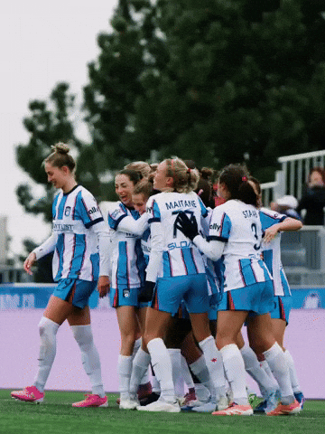 Lets Go Yes GIF by Chicago Stars FC