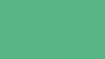 Color GIF by TheNextLabel