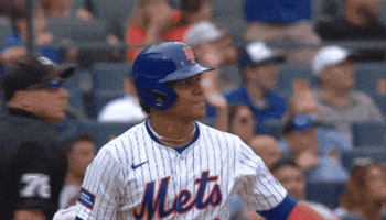 New York Mets Smile GIF by MLB