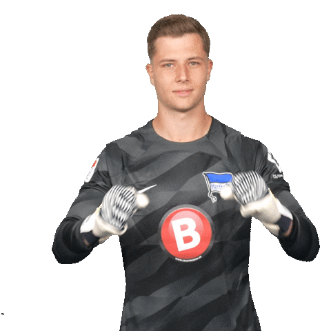 Football Win Sticker by Hertha BSC