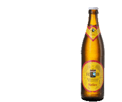 Beer Cheers Sticker by Hofbräuhaus Traunstein