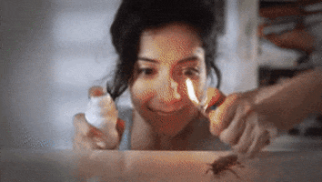 Pestcontrol GIF by Insect Trojan