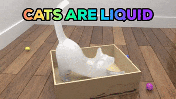 Cats GIF