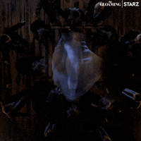 200.gif?cid=fc005b08d727b091a34cc4a8b42c097d936e8c591d274b6e&rid=200.gif&ct=g