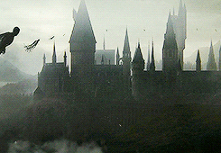 Imagin : Die Dementoren gibt es wirklich auf der Welt. -Sie wären dann meine besten Freunde und Hogwarts würde mich hassen oder zu der Therapy von  Umbridge schicken!😅🙈

Was sind eure Lieblingsfilme oder Serien?