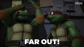ninja turtles GIF by Teenage Mutant Ninja Turtles
