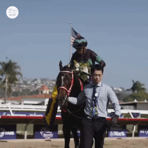 Happy World Champion GIF by World Horse Racing