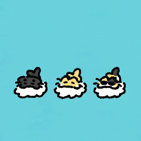 Cat Kitty GIF
