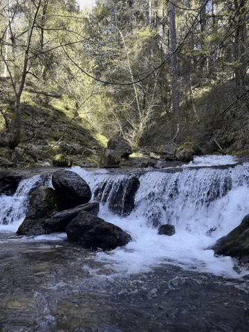 California River GIF