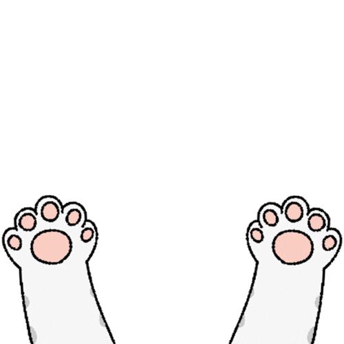 Kawaii Cat Cute Paw GIF