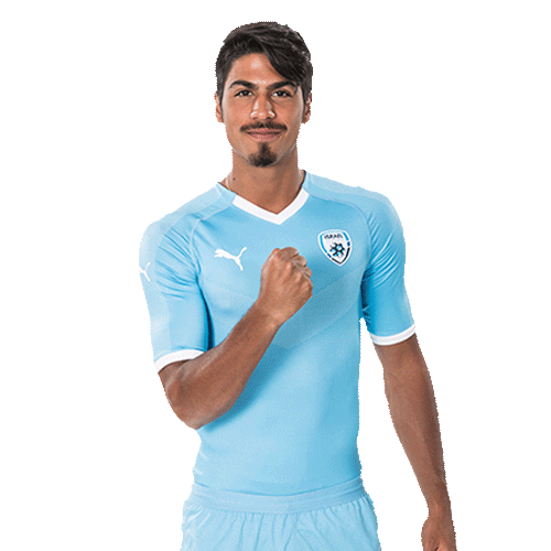 Eleledor Sticker by The Israel Football Association