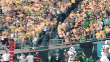 Jj Arcega-Whiteside Stanford GIF