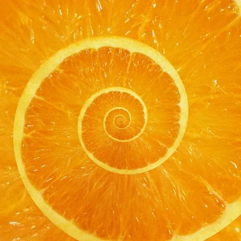 refreshing vitamin c GIF by Feliks Tomasz Konczakowski