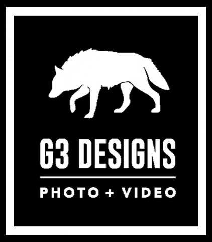 G3Designs video photography photo wolf GIF