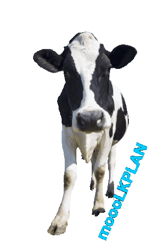 Cow Farm Sticker by Milkplanner