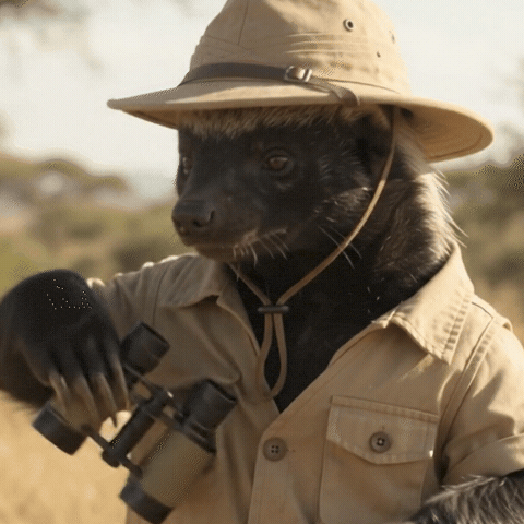 Badger Safari GIF by Smart Operator