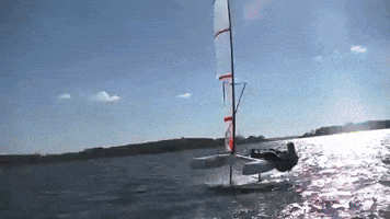 shoreline ufo foiling sailboat GIF