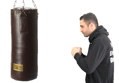 Fight Lab GIFs on GIPHY - Be Animated