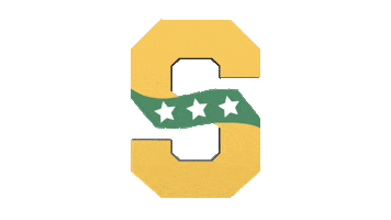 Adlai E. Stevenson High School Sticker