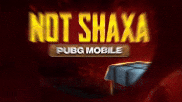 Not Shaxa GIF