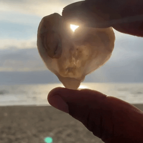 Heart Love GIF by DAM