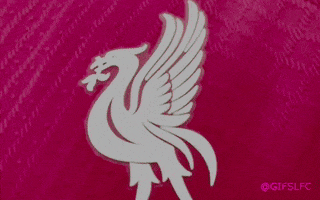 Lfc GIF