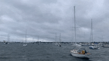 dockwa GIF