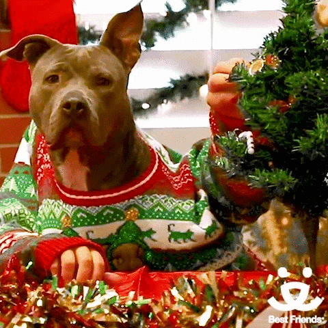 Video gif. A dog wearing a Christmas sweater with human arms inside the sleeves sits in front of a small Christmas tree. The human hand reaches out and knocks an ornament off the tree and the hands come upward in apology. The dog lowers his head to inspect the ornament.