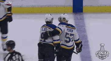ice hockey hug GIF by NHL
