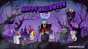 Bride Of Frankenstein Halloween GIF