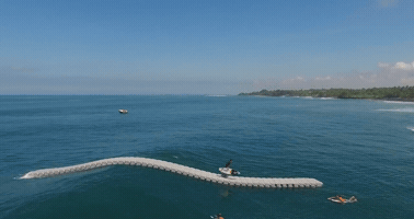 wagnerbrenner  GIF
