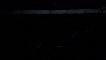 Fireflies GIF