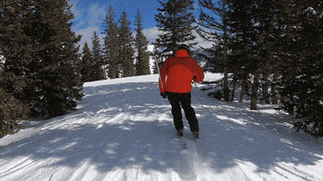 Ski Skiing GIF by PureADK