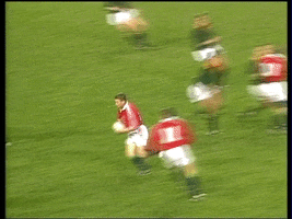 Lions Rugby Gibbs Du Randt GIF by The British & Irish Lions