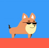 Sunglasses GIF