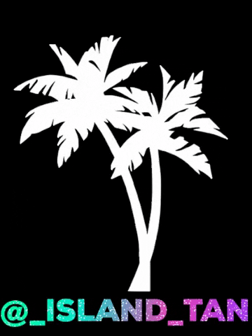 IslandTan tropical island tan palm GIF