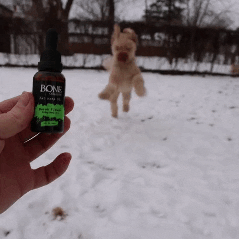 Bone Collector Hemp 1 Dog GIF