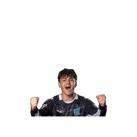 JAGS Vöslau Sticker