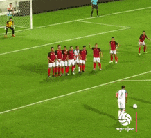 Warriors Fc Statue GIF by ELEVEN SPORTS