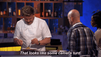 gordon ramsay fox GIF by Hell's Kitchen